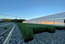 Strømstøtten til jordbruks- og veksthusnæringen justeres i 2026