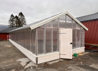 Fra gamle vinduer til nytt veksthus