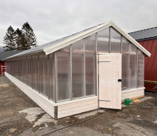 Fra gamle vinduer til nytt veksthus