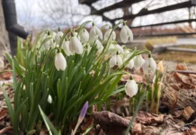 Husk søknadsfrist 15.april 2026!