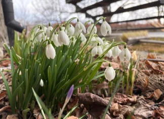 Husk søknadsfrist 15.april 2026!