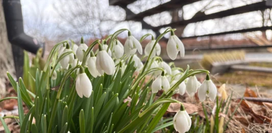 Husk søknadsfrist 15.april 2026!